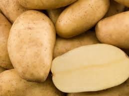 Patate da Seme Minituberi Semina Seed Potatoes Holland HZPC 2,5 kg